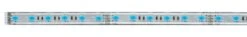 Paulmann MaxLED 500 LED Strip RGB Einzelstripe 1m Beschichtet 13,5W 420lm/m RGB 70657 -Paulmann 1d6b7a3f 0644 4e43 87f6 d2ea76bbbd7d